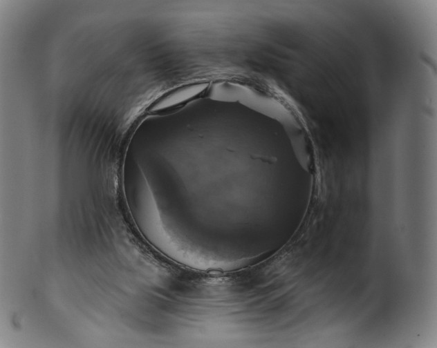 X0000099950059200806061552