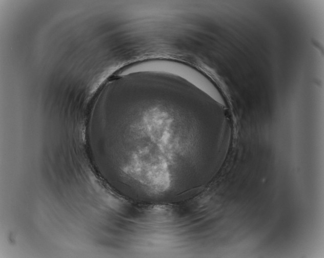 X0000099950060200806061552