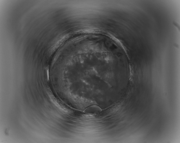 X0000099950061200806061552