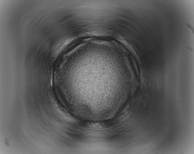 X0000099950062200806061552