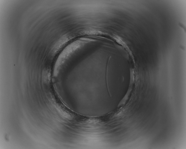 X0000099950063200806061552