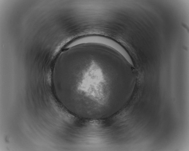 X0000099950064200806061552