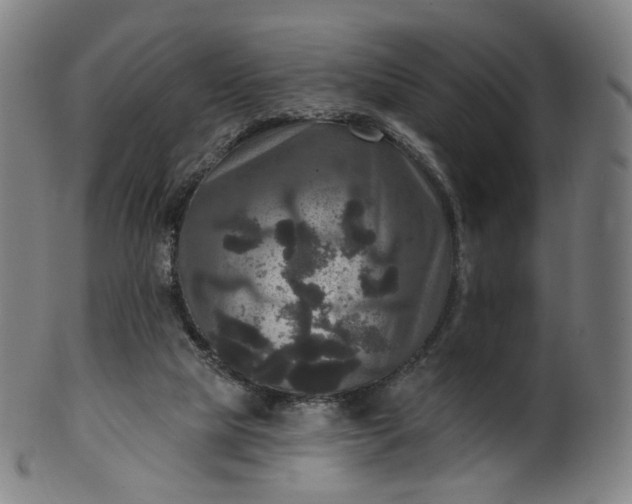 X0000099950065200806061552