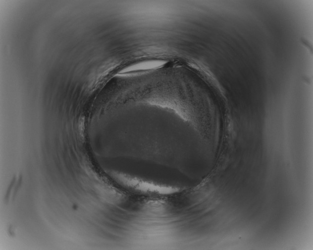 X0000099950066200806061552