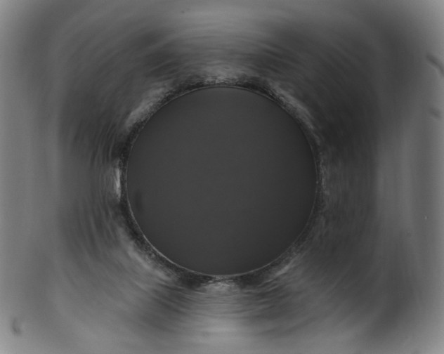 X0000099950067200806061552