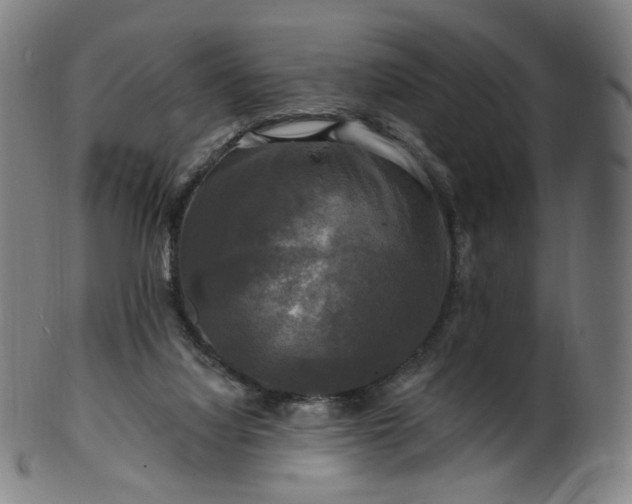 X0000099950068200806061552