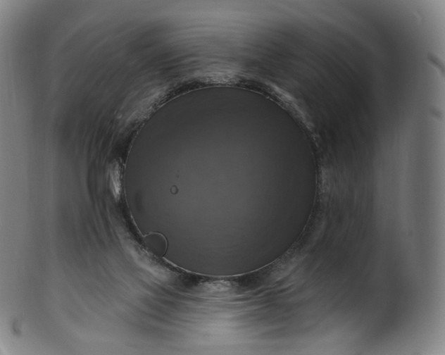 X0000099950069200806061552