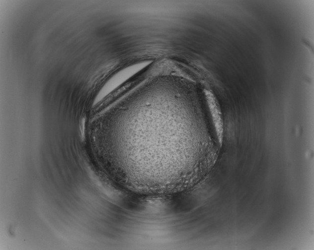 X0000099950070200806061552