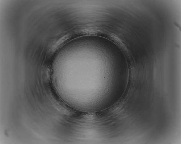 X0000099950071200806061552