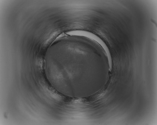 X0000099950072200806061552