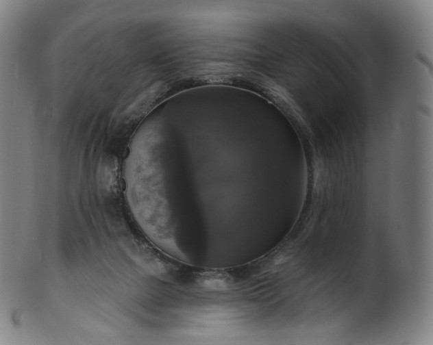 X0000099950073200806061552