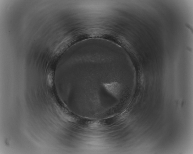 X0000099950074200806061552