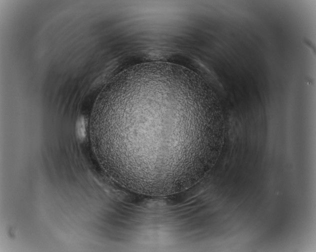 X0000099950075200806061552