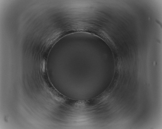 X0000099950076200806061552