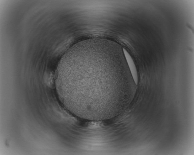 X0000099950077200806061552