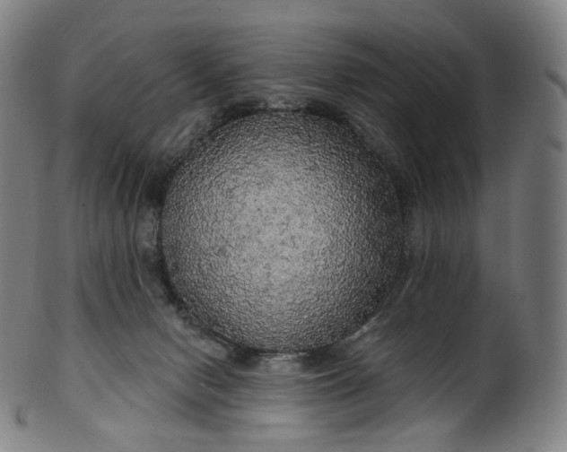 X0000099950078200806061552