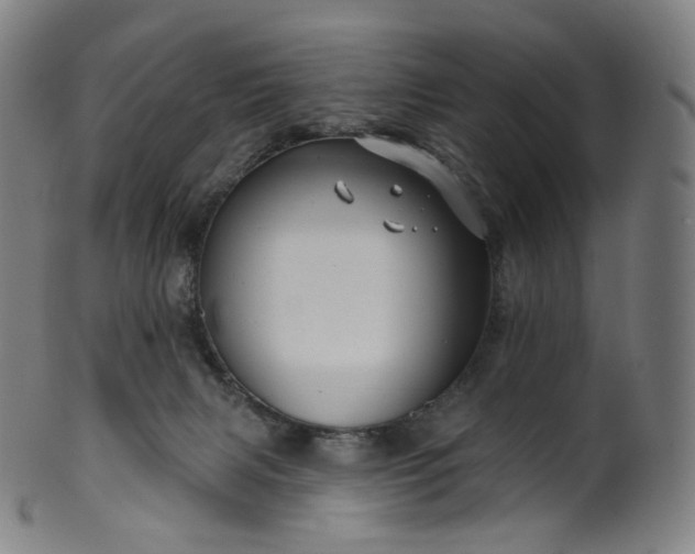 X0000099950079200806061552