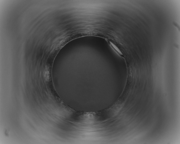 X0000099950080200806061552