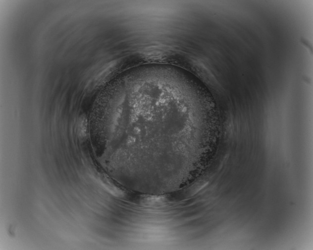 X0000099950081200806061552