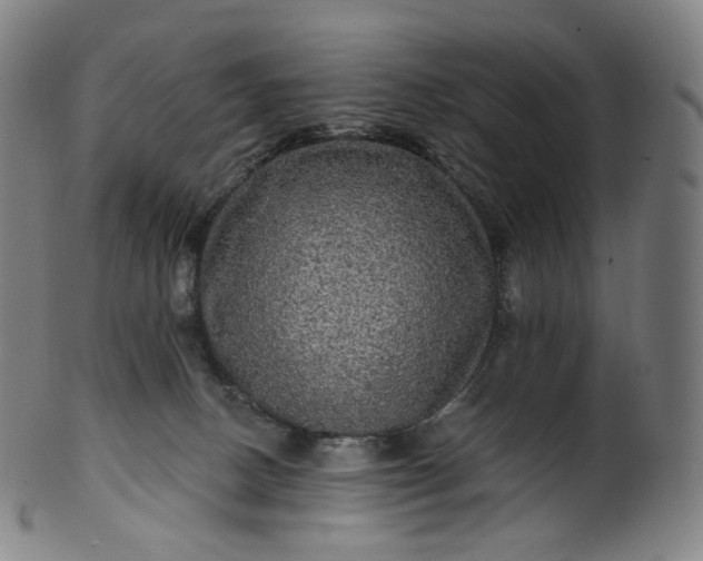 X0000099950082200806061552