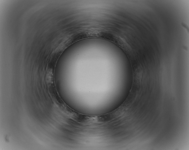 X0000099950083200806061552