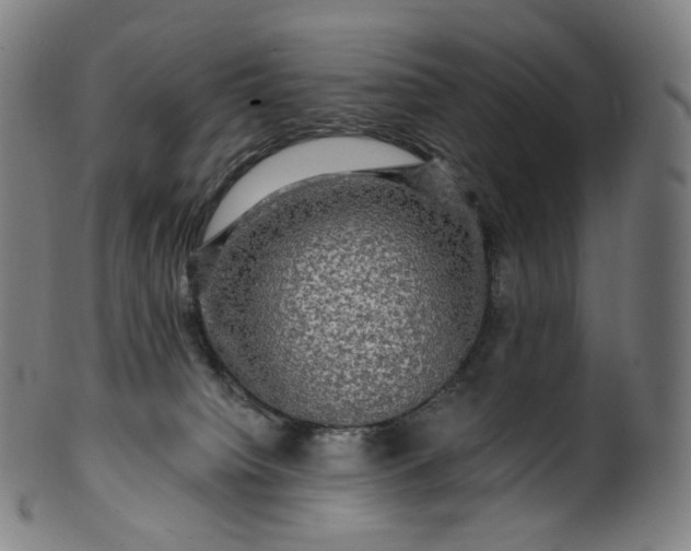 X0000099950084200806061552