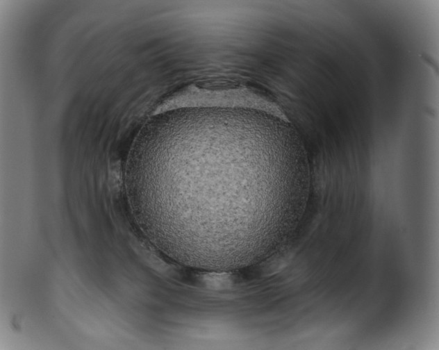 X0000099950085200806061552