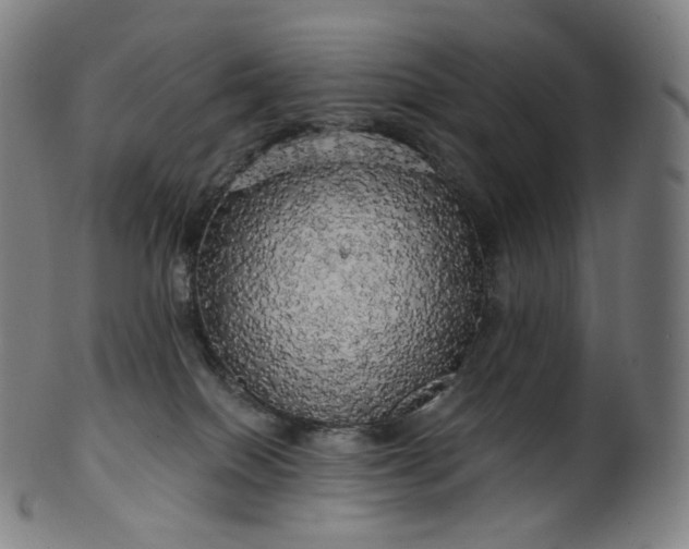 X0000099950086200806061552