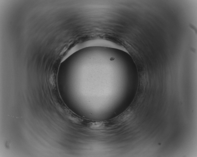 X0000099950088200806061552