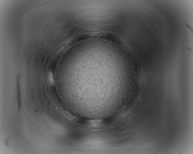 X0000099950089200806061552