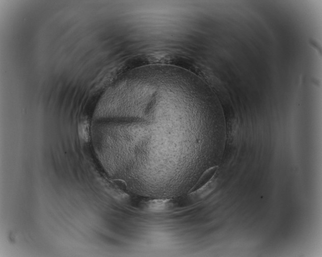 X0000099950090200806061552