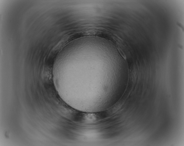 X0000099950091200806061553