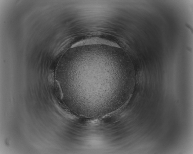 X0000099950092200806061553