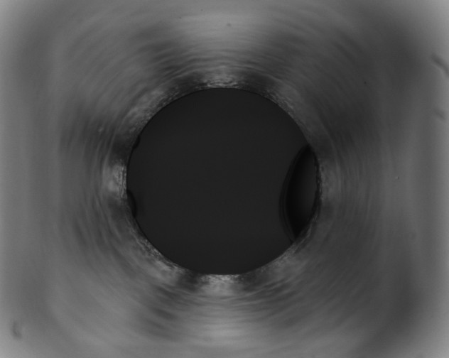 X0000099950093200806061553