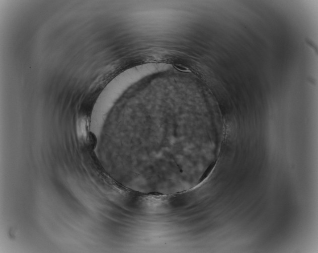 X0000099950094200806061553