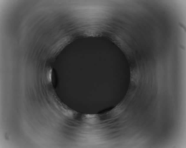 X0000099950095200806061553