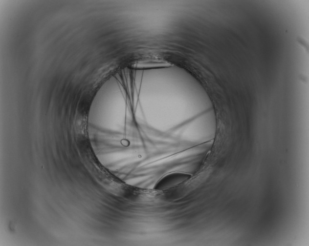 X0000099950096200806061553