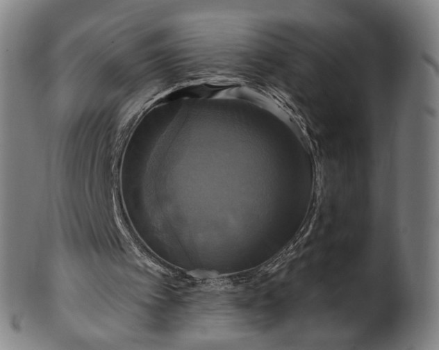 X0000099950097200806061552