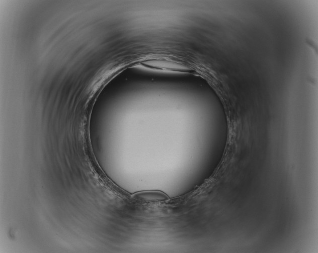 X0000099950098200806061552