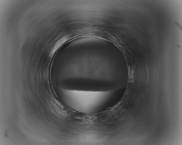 X0000099950099200806061552