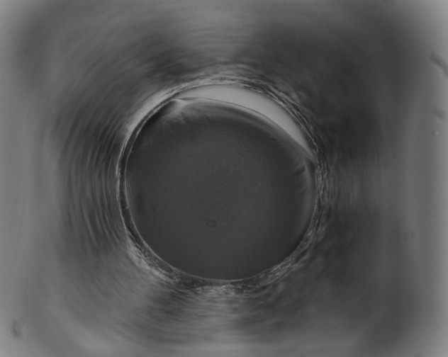 X0000099950100200806061552