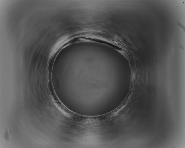 X0000099950101200806061552