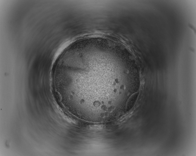 X0000099950102200806061552