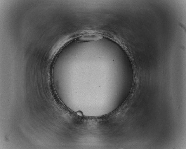 X0000099950103200806061552