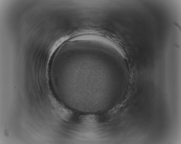 X0000099950104200806061552