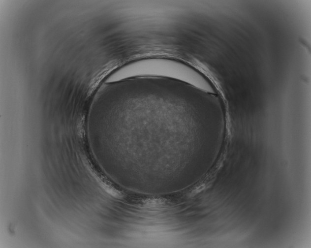 X0000099950105200806061552