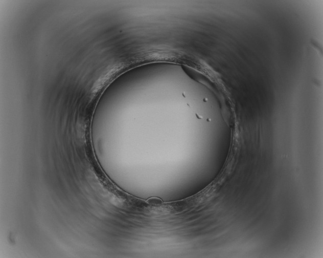 X0000099950106200806061552