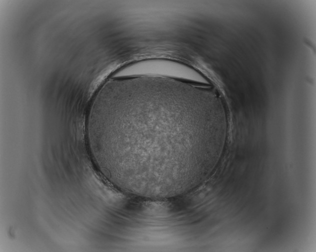 X0000099950107200806061552