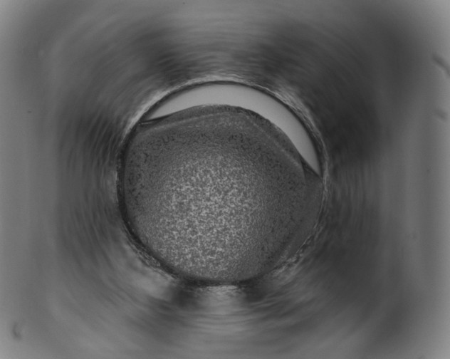 X0000099950108200806061552