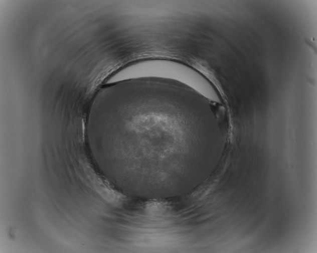 X0000099950109200806061552